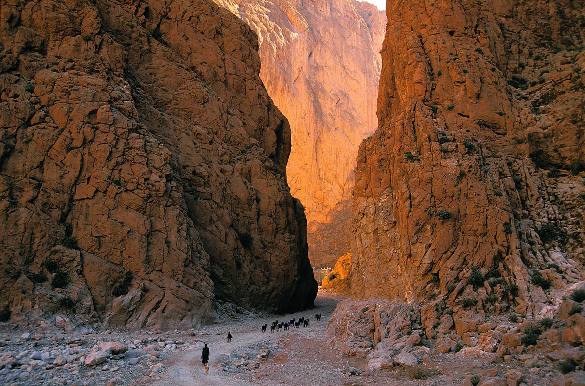 Marocco Todra Gorges