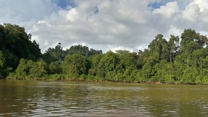 Malesia Borneo Sabah