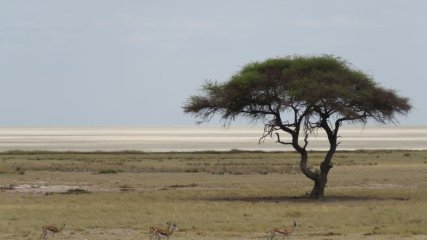 Namibia Parco