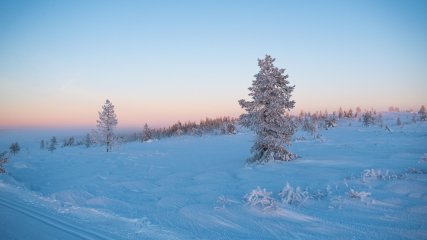 Finlandia Foto di tommy  haugsveen: https://www.pexels.com/it-it/foto/alberi-dalle-vette-innevate-1769879/